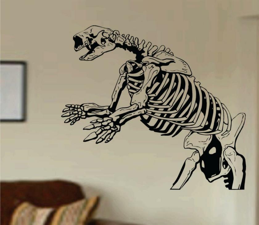 Wall Decals | Dinosaur Skeleton Vinyl Wall Decal Sticker Zoo Modern Wall Mural Art Animal Housewares Wall Decals