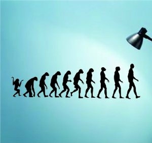 Wall Decals | Evolution Decal Sticker Wall Decal Art Housewares Wall Decals